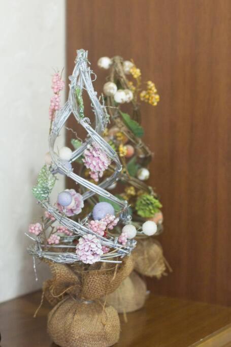 Mochida'S Guest House Токіо Екстер'єр фото
